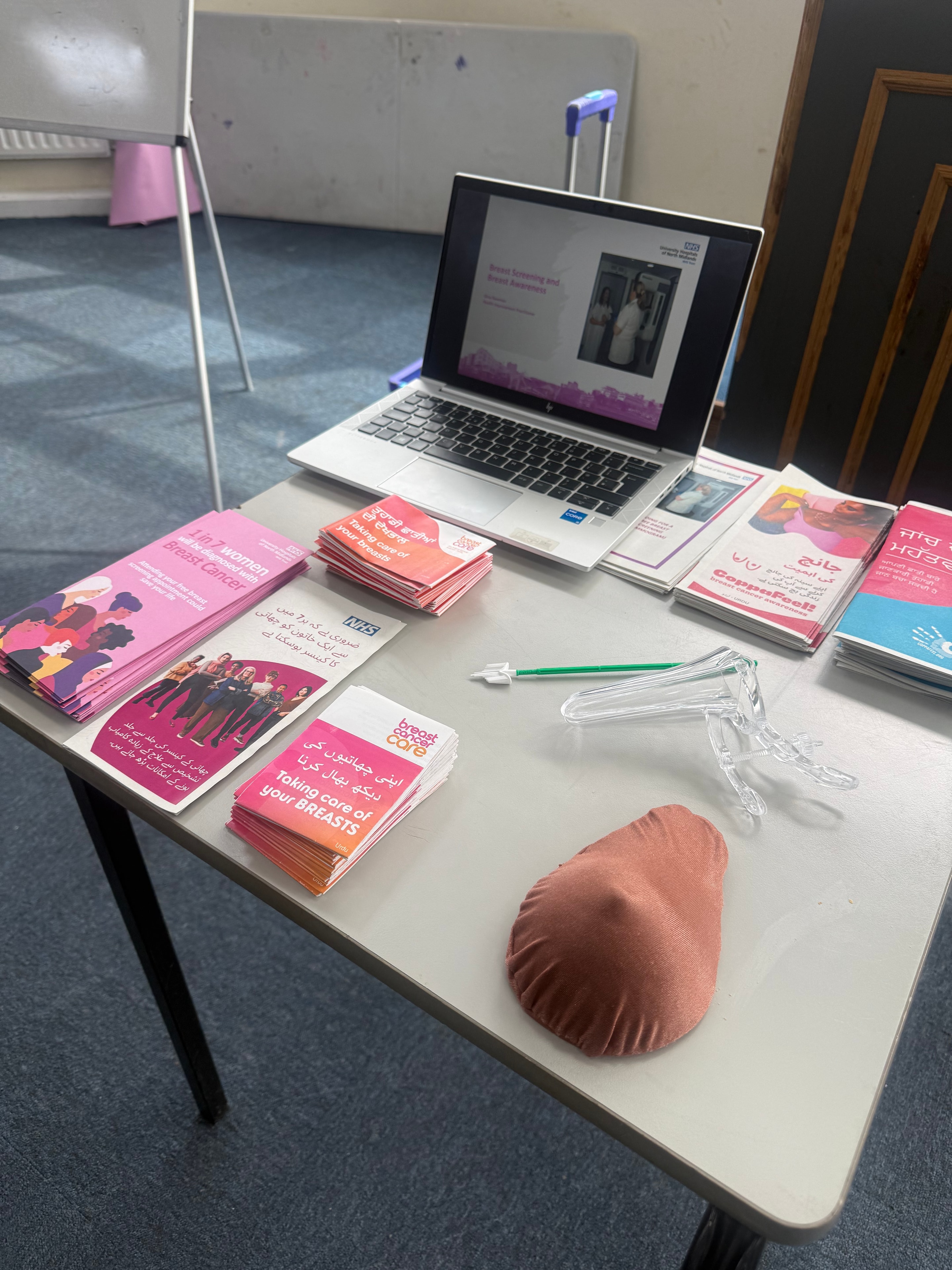 Health education resources and leaflets displayed at a session
